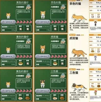 猫猫咖啡屋2025官方最新版本 猫猫咖啡屋2025官方最新版本