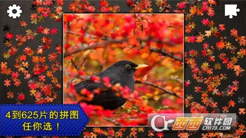 ƴͼܻ԰2025ٷ°汾v1.0.1 Ѱͼ