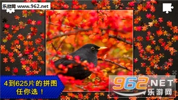 ƴͼܻ԰2025ٷ°汾v1.0.1 Ѱͼ