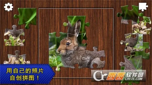 ƴͼܻ԰2025ٷ°汾v1.0.1 Ѱͼ