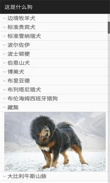 Identify Dog Breeds(ʶ)v1.0 ֻͼ