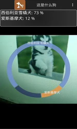 Identify Dog Breeds(ʶ)v1.0 ֻͼ