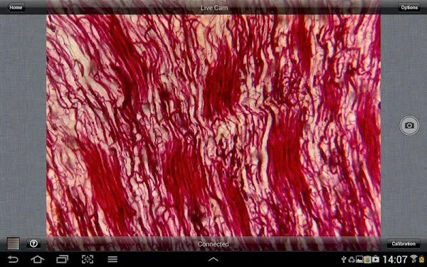 MotiConnectֻv3.1.4 ׿ͼ