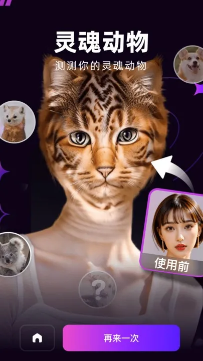 ݸ2025ذװv1.1.8 ֻͼ