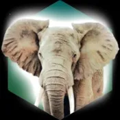 ۶԰2025ٷ°汾v1.0.0 Ѱ