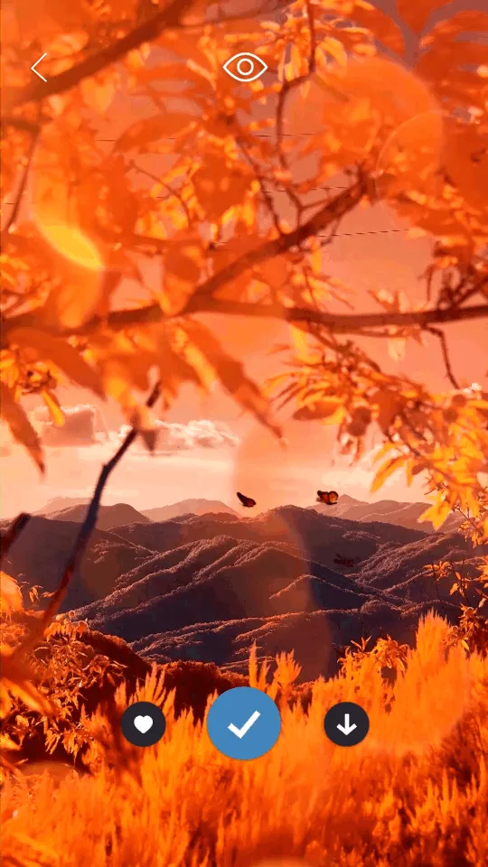 Ƥֽ̻(ֻֽ)v1.4.1 ٷͼ