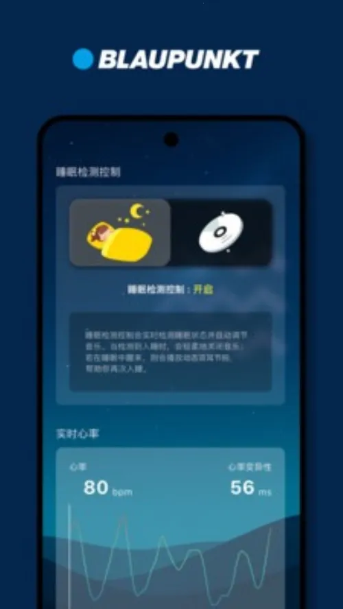 BLAUPUNKT(音效护理软件) BLAUPUNKT(音效护理软件)