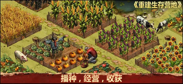 ؽӪؾ2025ٷv1.1.59 ׿ͼ