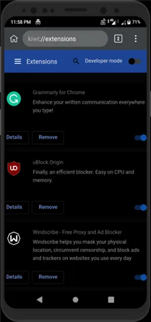 kiwi2025ٷ°汾v139.0.7339.0 Ѱͼ