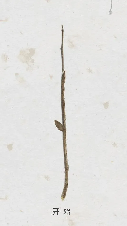 ʢ��֮��2025�ٷ����°汾v1.01 ��׿���ͼ