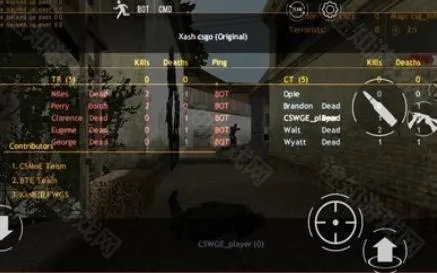 csgo��èè(��èè��Ϸ)