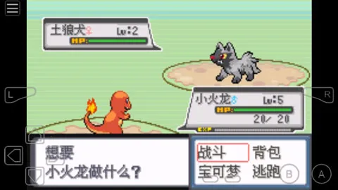 �ڴ����ְ�2(������ð����Ϸ)