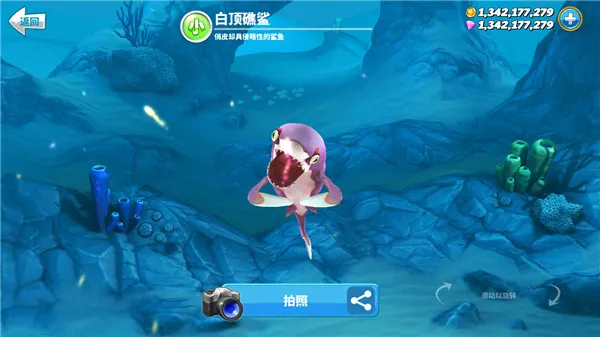 hungrysharkworld(����ð����Ϸ)v7.8.1 �ֻ����ͼ