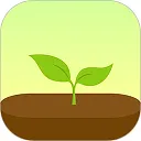 forestרעɭ��(רעʱ���������)v4.79.2 ��׿��