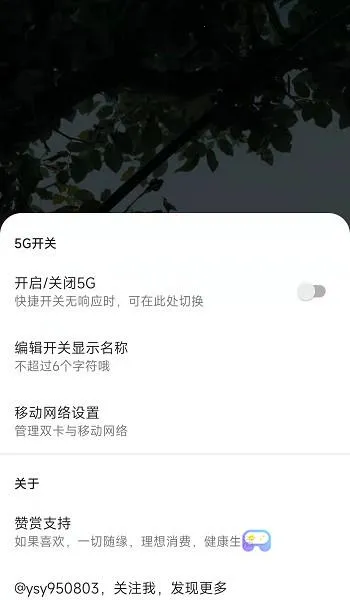 MIUI状态栏5G开关最新手机版 MIUI状态栏5G开关最新手机版