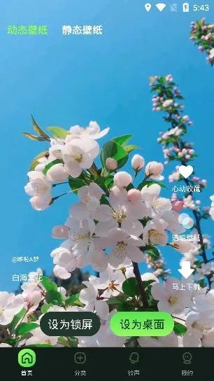 �����ֽ��(�ֻ���ֽ����)