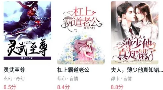 ����С˵(С˵�Ķ�����)