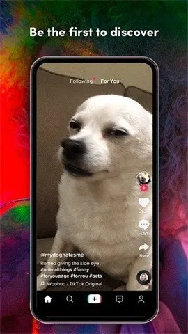 tiktok��(����Ƶƽ̨)v41.3.5 ��Ѱ��ͼ