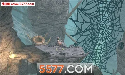 New(��Ƶ��������)v8.0.0.20765 �ٷ������ͼ