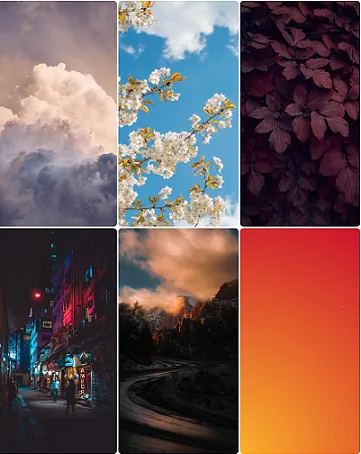 �����ֽ��(��ֽ��������)