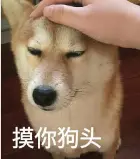 ���뷽��ϼ������ֻ���