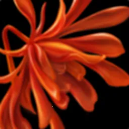 �ܼ�(��ʽ�鱦����ƽ̨)v3.1.6 ��Ѱ�