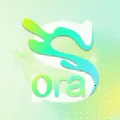 Sora�ӽ�(��Ƶ��������)v1.1 �ֻ���