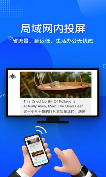 ����Ͷ����2026�ٷ�����v23.6.50 �ֻ����ͼ