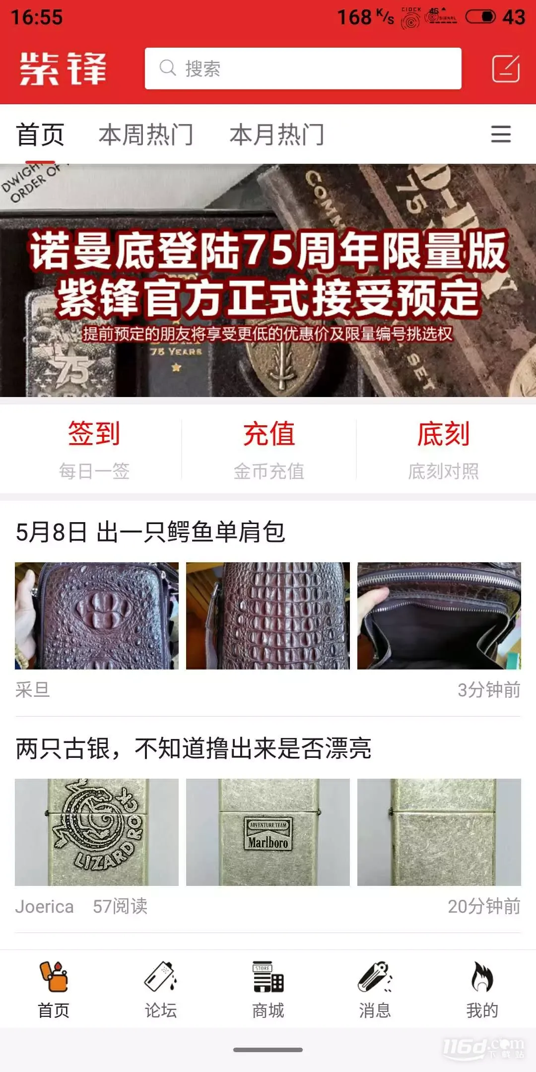 紫锋 紫锋