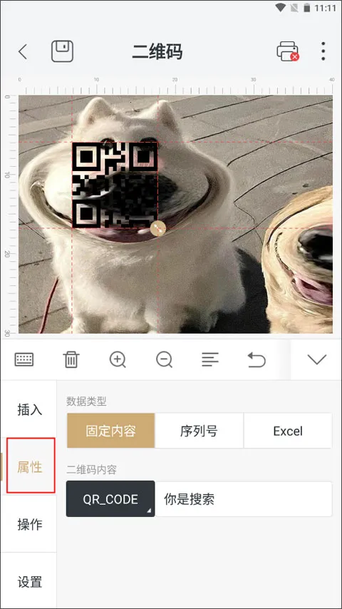 ������ӡ