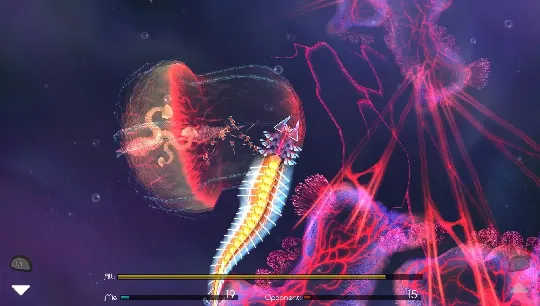 �𻨽���22026�ٷ�����