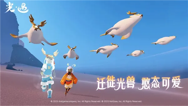 ����oppo��v0.12.5 ��Ѱ��ͼ