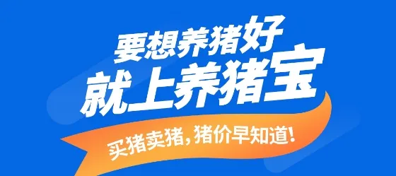 养猪宝 养猪宝