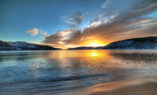 ѾѾ��̬��ֽ