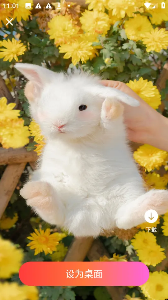 �ǻ��ֽ2026���ذ�װ