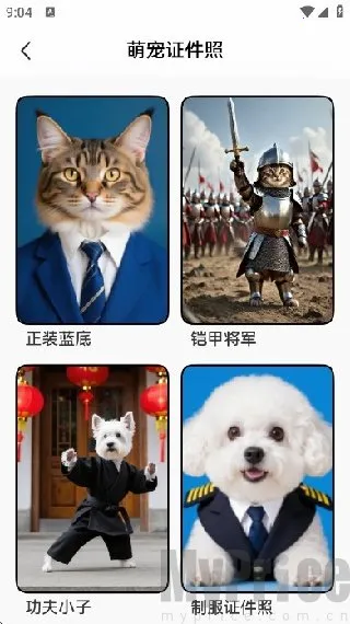 宠历