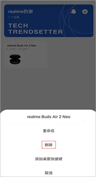 realme Link realme Link