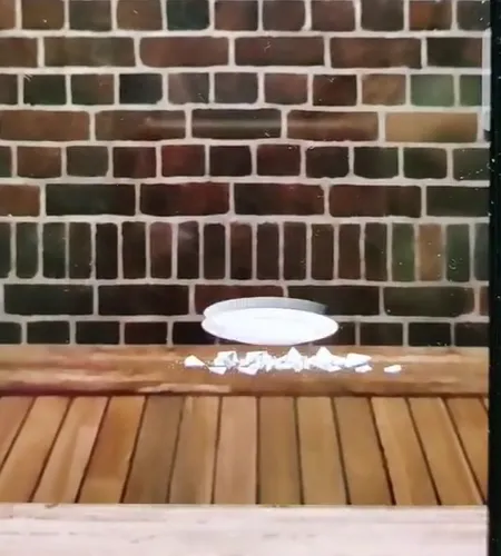 ��ѹ����22026���°汾v1.0.3 �ٷ������ͼ