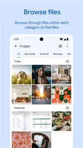 Google�ļ�����v1.8986.825989148.1-release-release �ٷ������ͼ