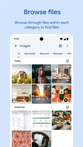 Google�ļ�����v1.8986.825989148.1-release-release �ٷ������ͼ
