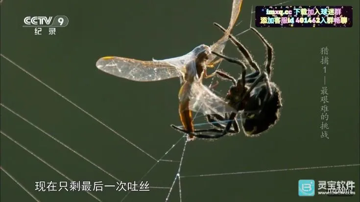 �ʺ�����ȶ�2026���ذ�װ