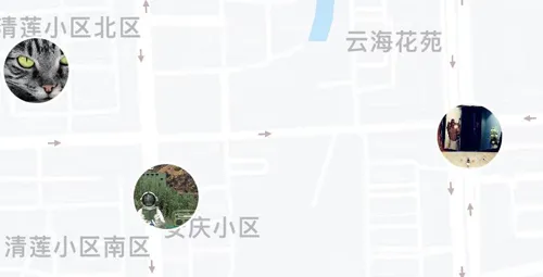 corgi���ذ�׿��