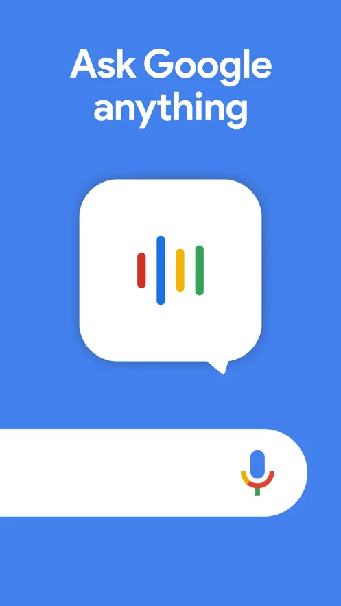 �ȸ���������