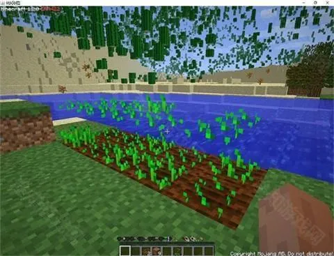 �ҵ�����ֲ�