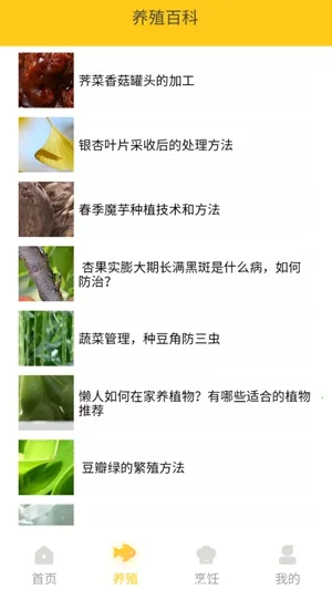 СԺ�˼Ұ�׿���ֻ���