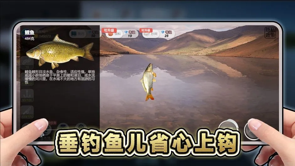 ���ε�����