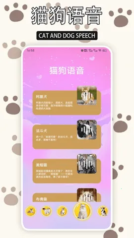 ����è2026���ذ�װv1.9 ��Ѱ��ͼ