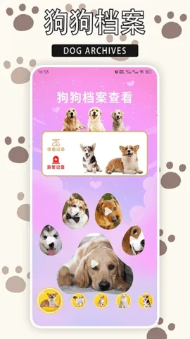 ����è2026���ذ�װv1.9 ��Ѱ��ͼ