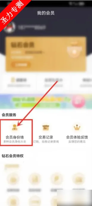 �乾��Ƶ������