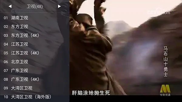 WebViewTV2026���°汾v1.10.7 �ٷ������ͼ